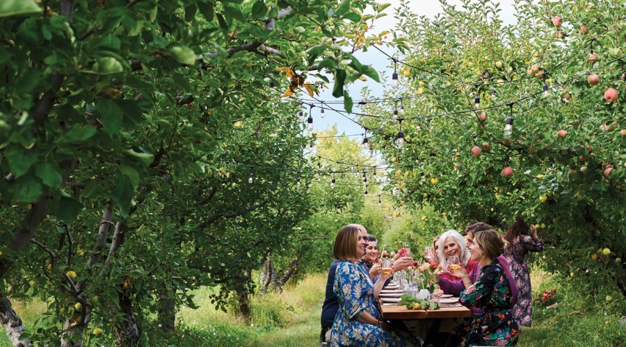 This Chic and Cozy Apple Orchard Is the Stuff of Summer Road Trip Dreams