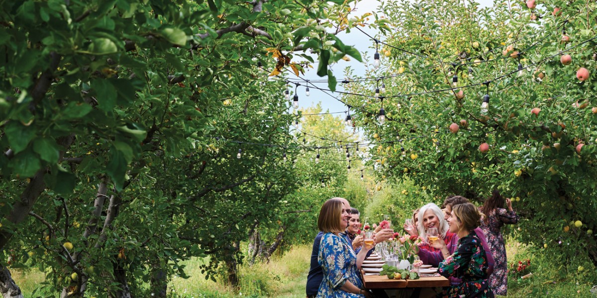 Outdoor Dinner at Apple Lane