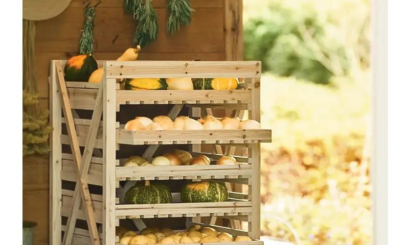 Storage Solutions to Enjoy Your Harvest All Year Long