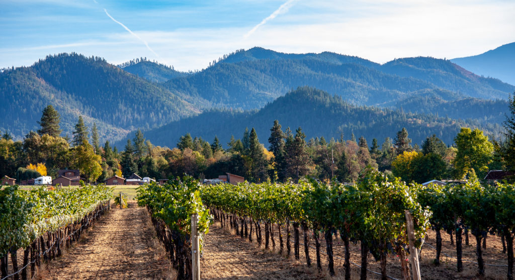 vineyard in southern oregon with mountains in background