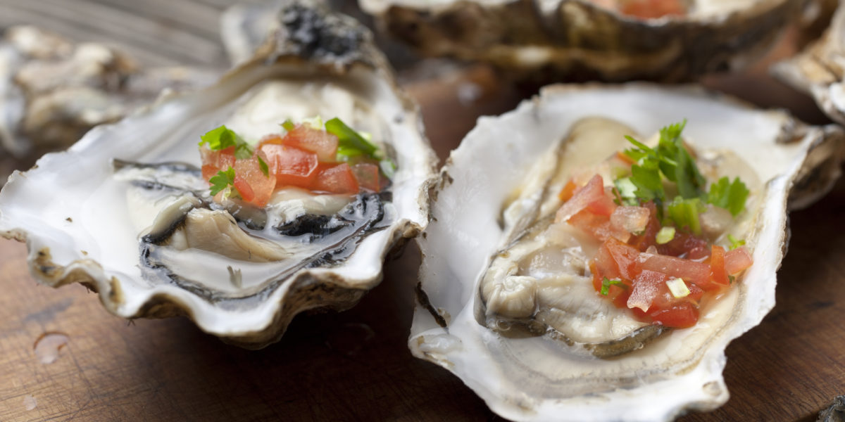 Oysters on the Half Shell & Chile, Cilantro, & Meyer Lemon Salsa Recipe ...