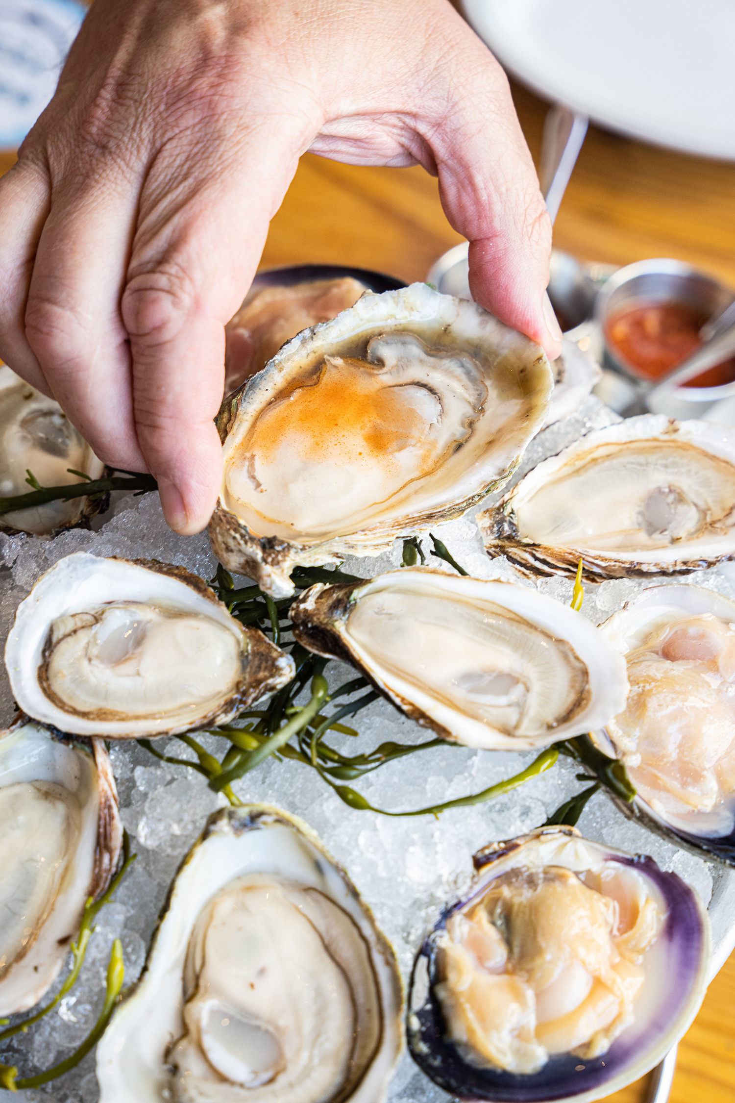 Oysters and Hot Sauce from Connie and Ted's