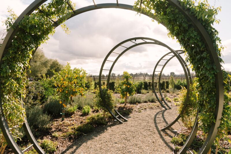 The Burgess Tasting Room