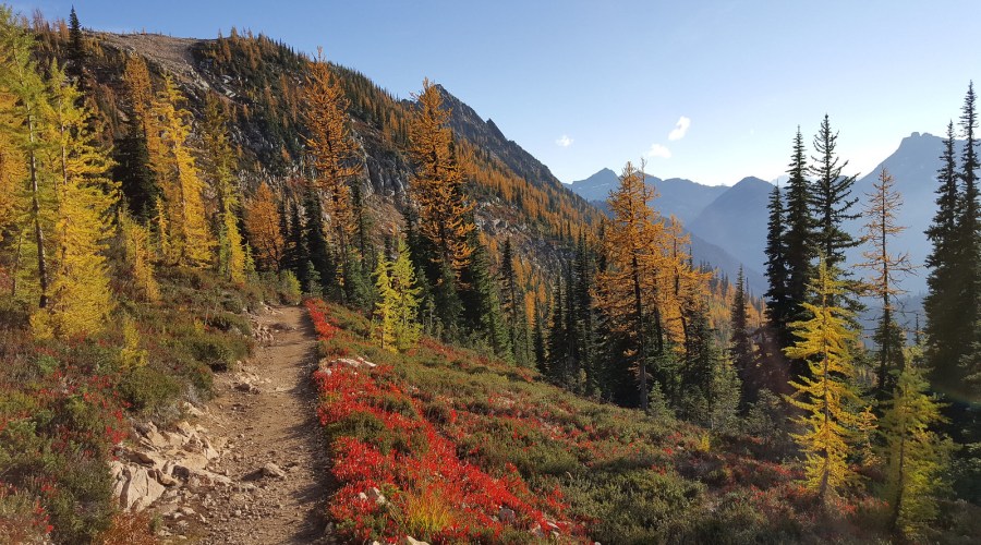 hike-part-of-the-colorful-pacific-crest-trail