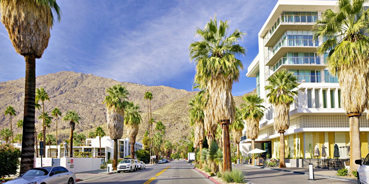 Palm Springs Street