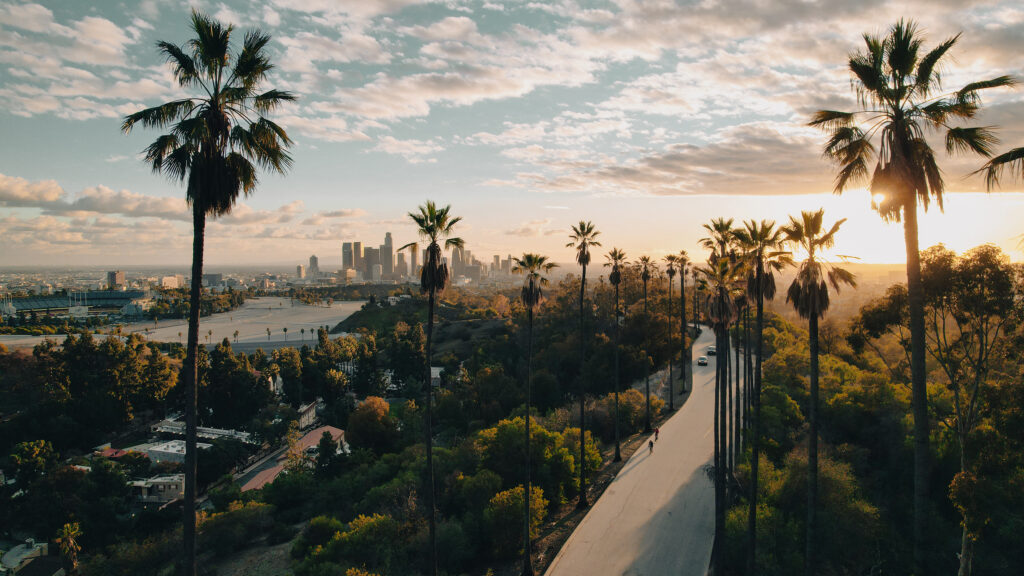 Palm Tree Street in Los Angeles