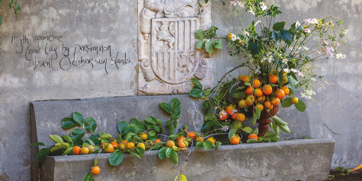 Persimmon Floral Arrangement Punk Ikebana