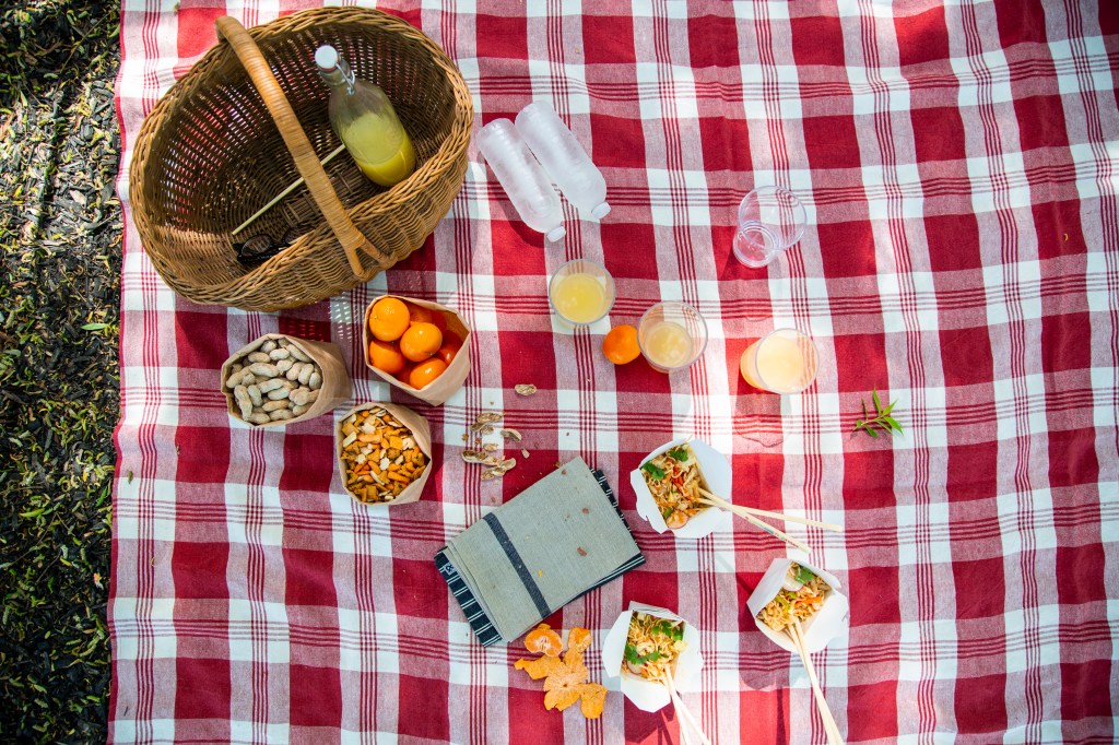 How to Set up a Chic Picnic