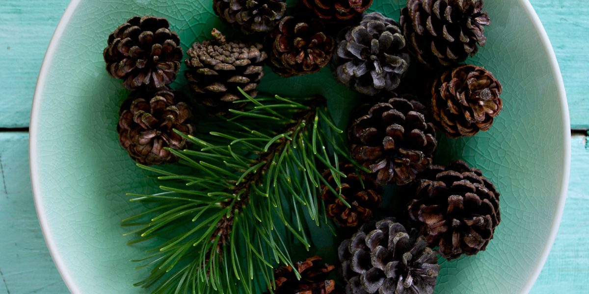 pine cones in a bowl