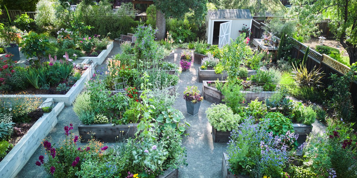 Pine House Edible Gardens