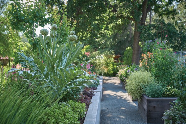 Do These Things Now to Have a Gorgeous Garden in Spring