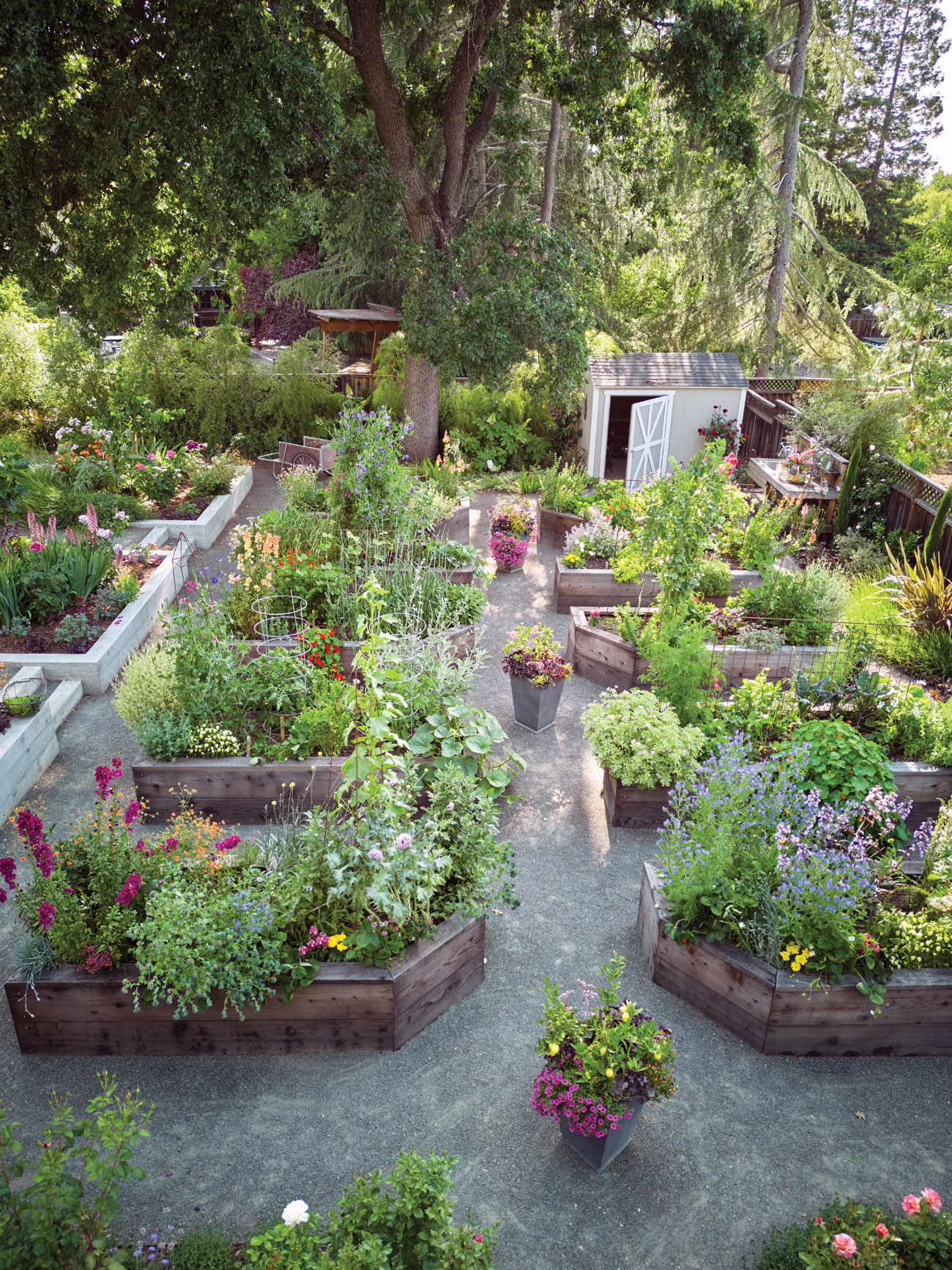 Pine House Edible Gardens Drone View