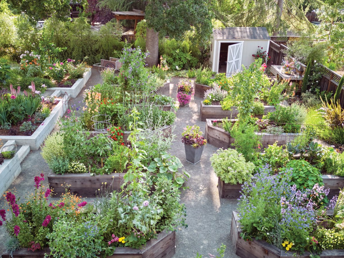 Pine House Edible Gardens Drone View