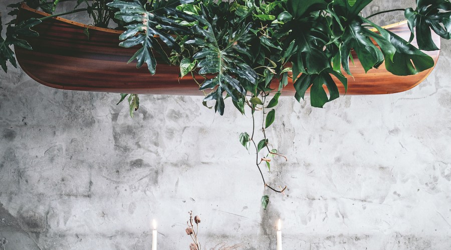 Make a Chandelier-Inspired Planter for Your Dining Room