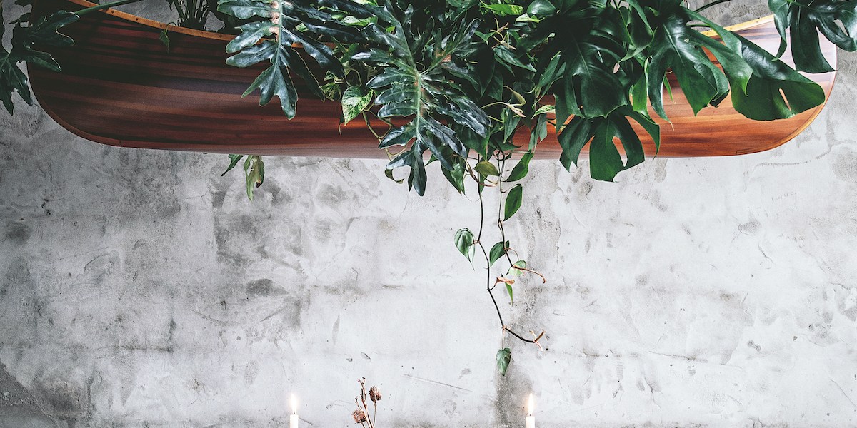 Hilton Carter Plant Chandelier in a wooden canoe with varied plants including pothos and monstera plants over a set dining table.