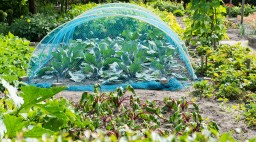 Plant Garden Protect Net