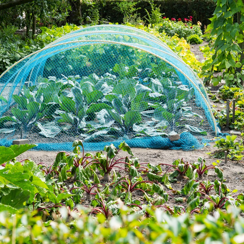 Winter Is Actually the Most Important Time for Your Garden. Here’s Your Seasonal Checklist.