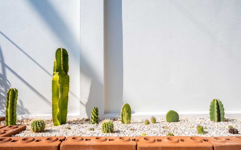 Monochrome Plantings