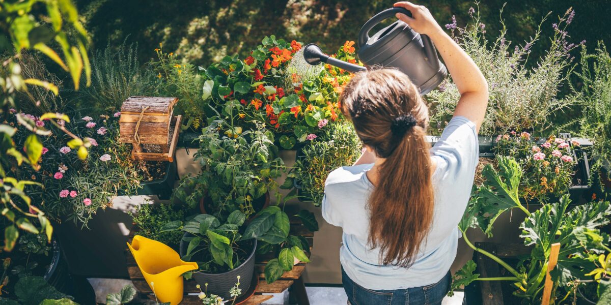 Watering Plants on Balcony