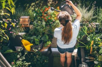 Watering Plants on Balcony