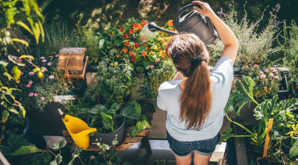 The Garden Trends We Want to Leave Behind in 2025