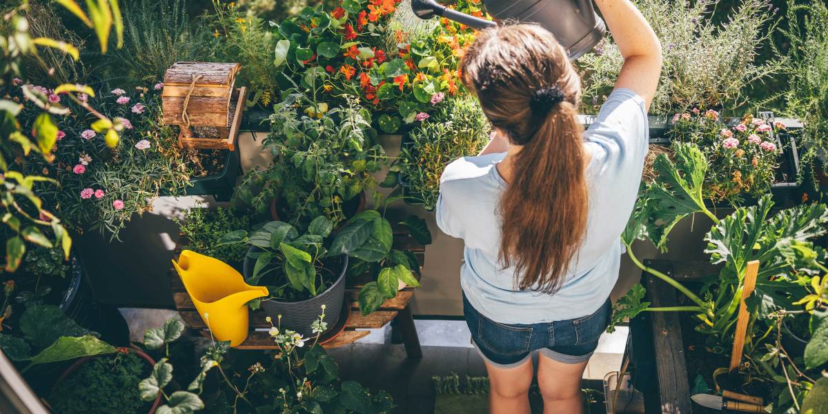 Watering Plants on Balcony