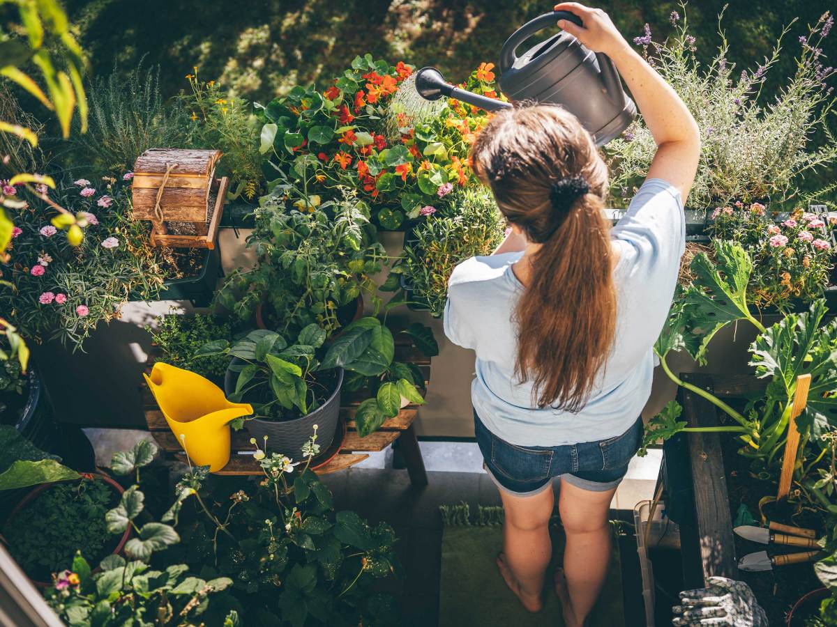 Watering Plants on Balcony