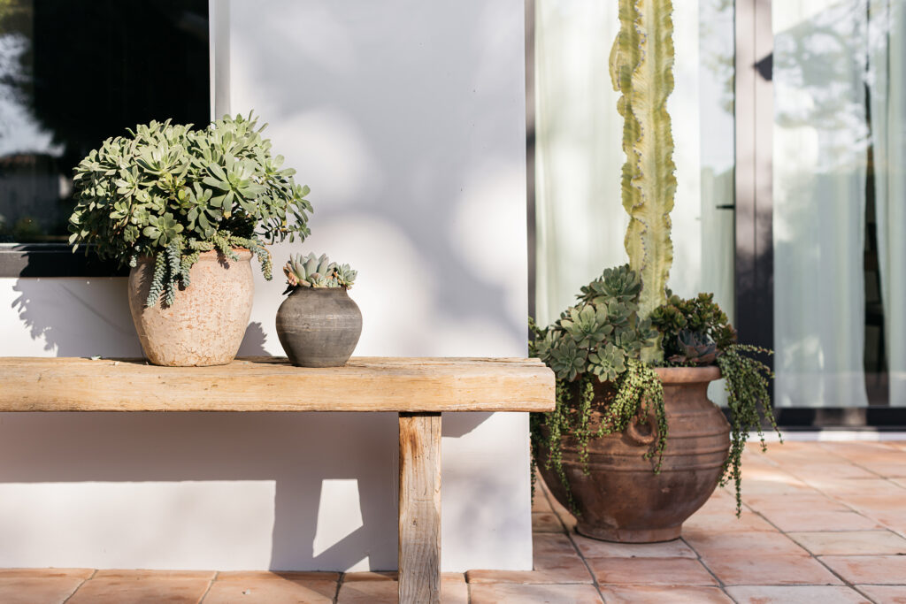 Planters in Melrose Backyard