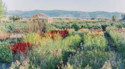 Flower Hat Farm Fields in Fall