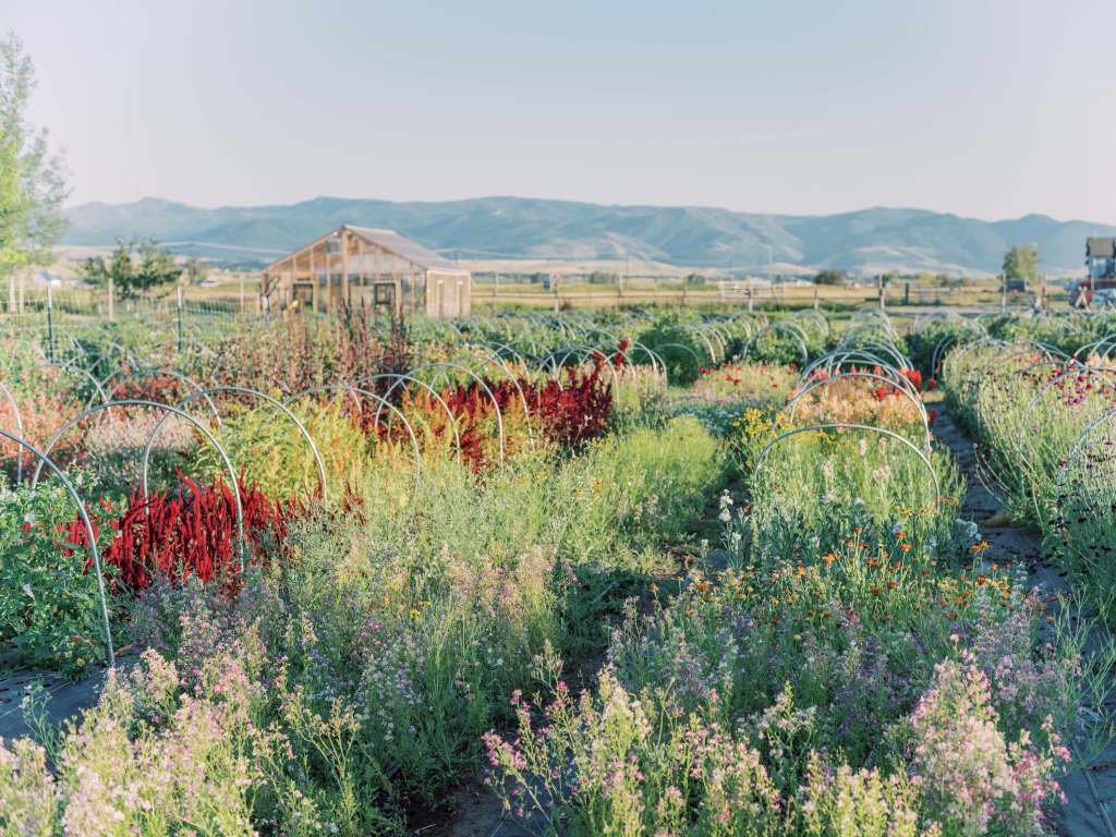 5 Fall Bulb Planting Mistakes That Will Sabotage Your Spring Garden