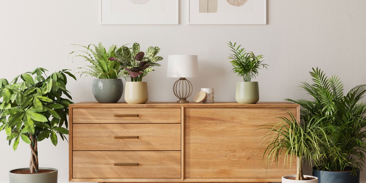 Easyplant Pots on a Console