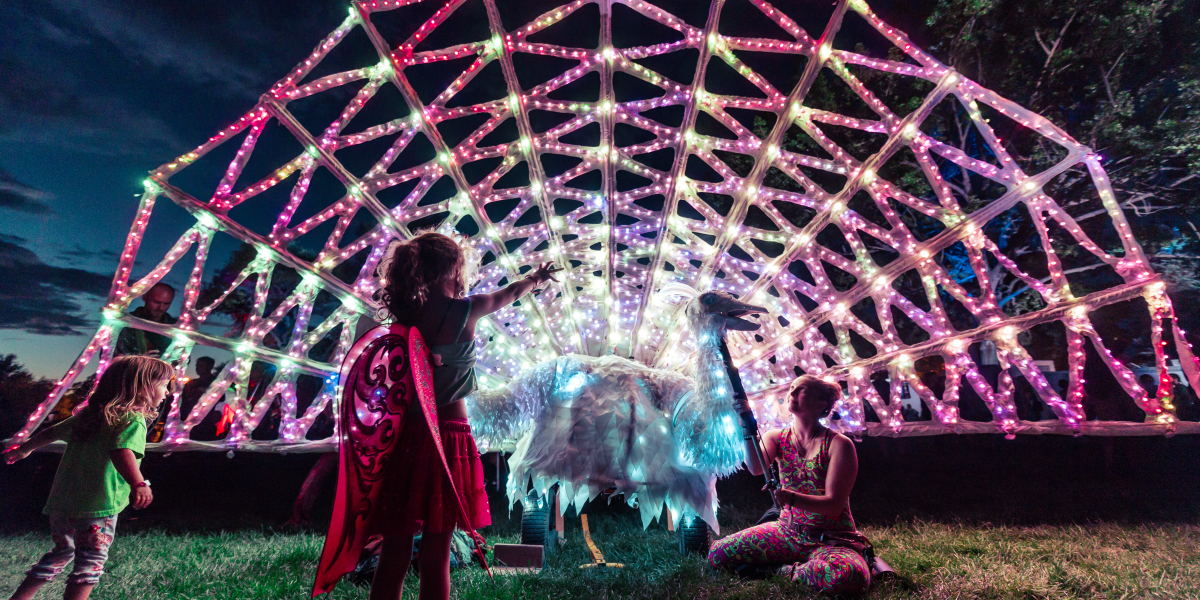 Playing at Taos Vortex