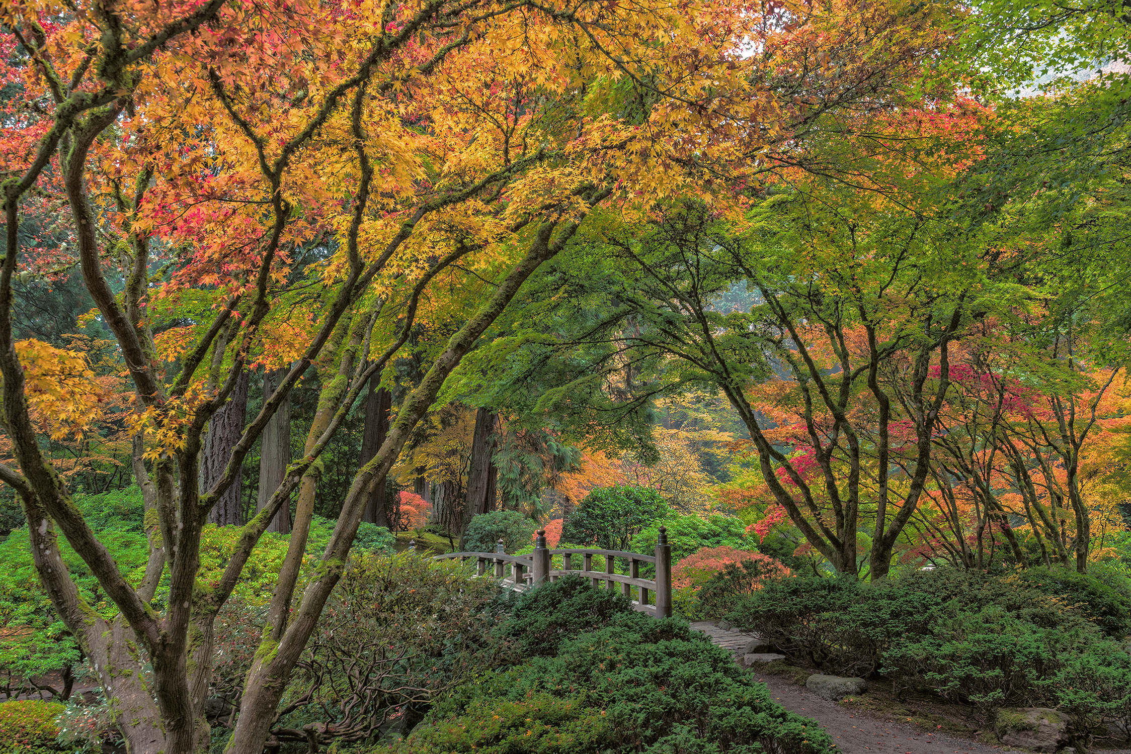 Portland Japanese Garden Moon Bridge