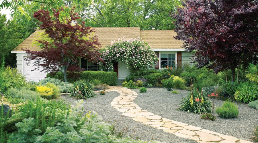 Keep Your Trees Safe During a Remodel