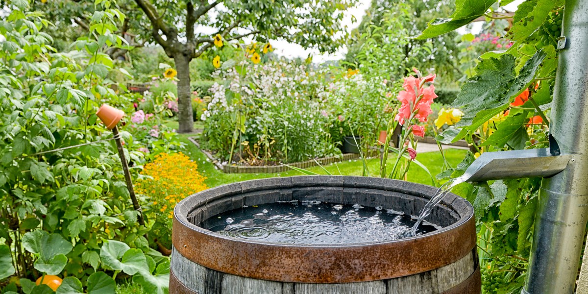 Rain Barrel Garden