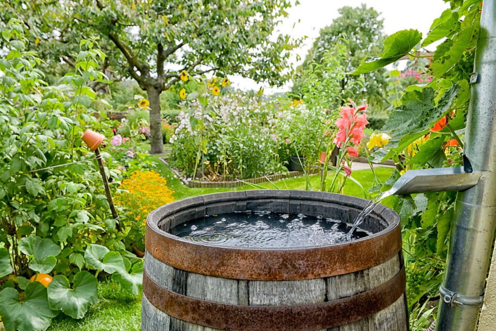 Here's Everything You've Ever Wanted to Know About Saving Rainwater