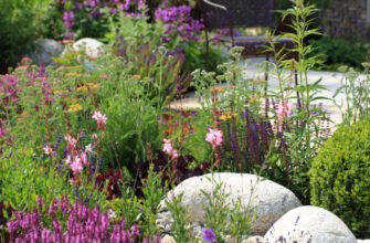 Rain Garden Flower Garden