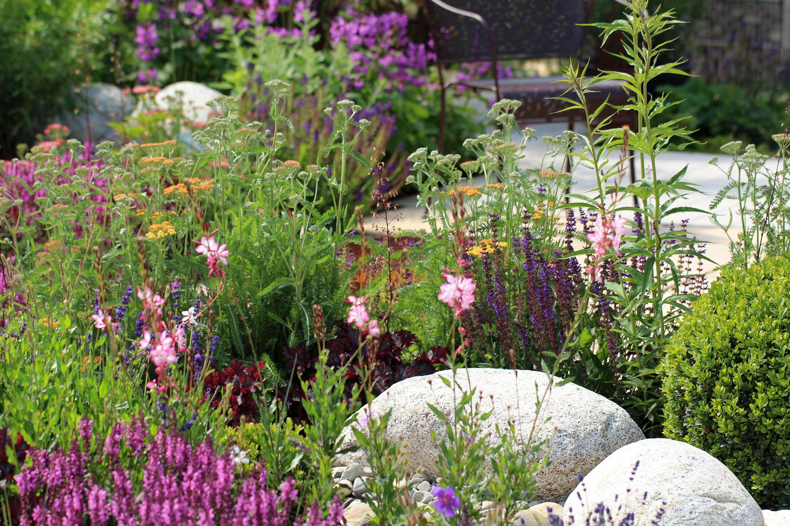 The Rain Garden Is the Smartest Way to Save Water