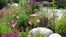 Rain Garden Flower Garden
