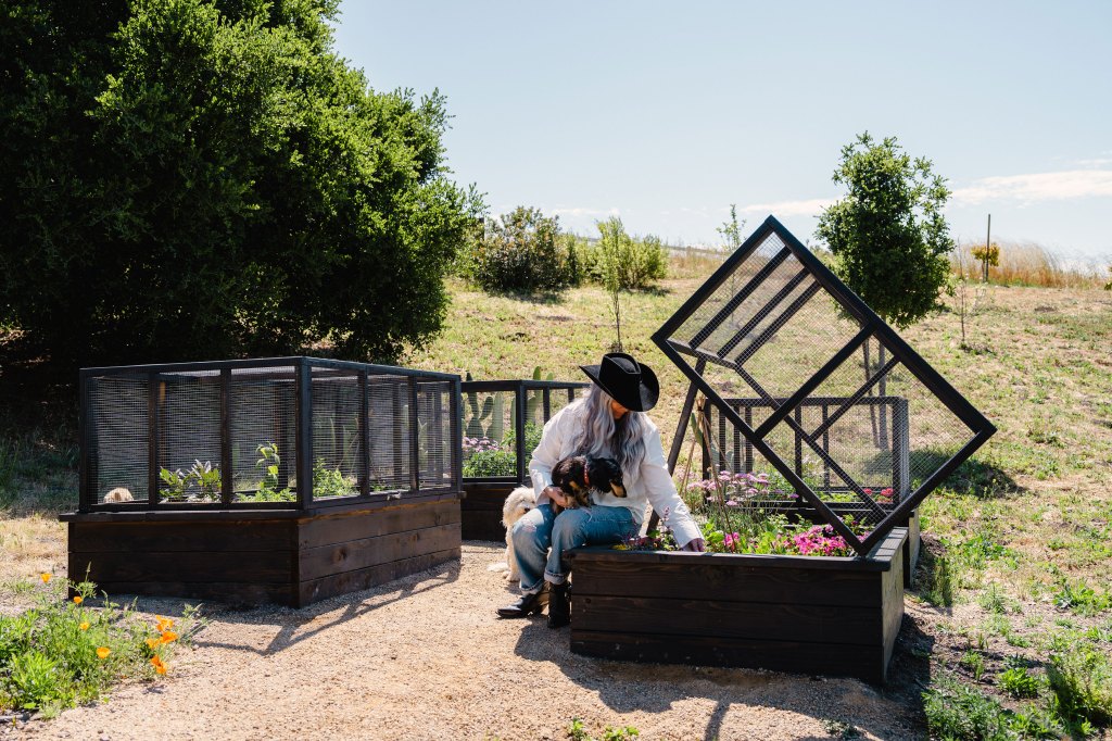 5 Ways to Customize Your Raised Beds and Give Your Garden a Glow-Up