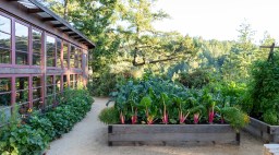 Raised Bed Greenhouse San Geronimo