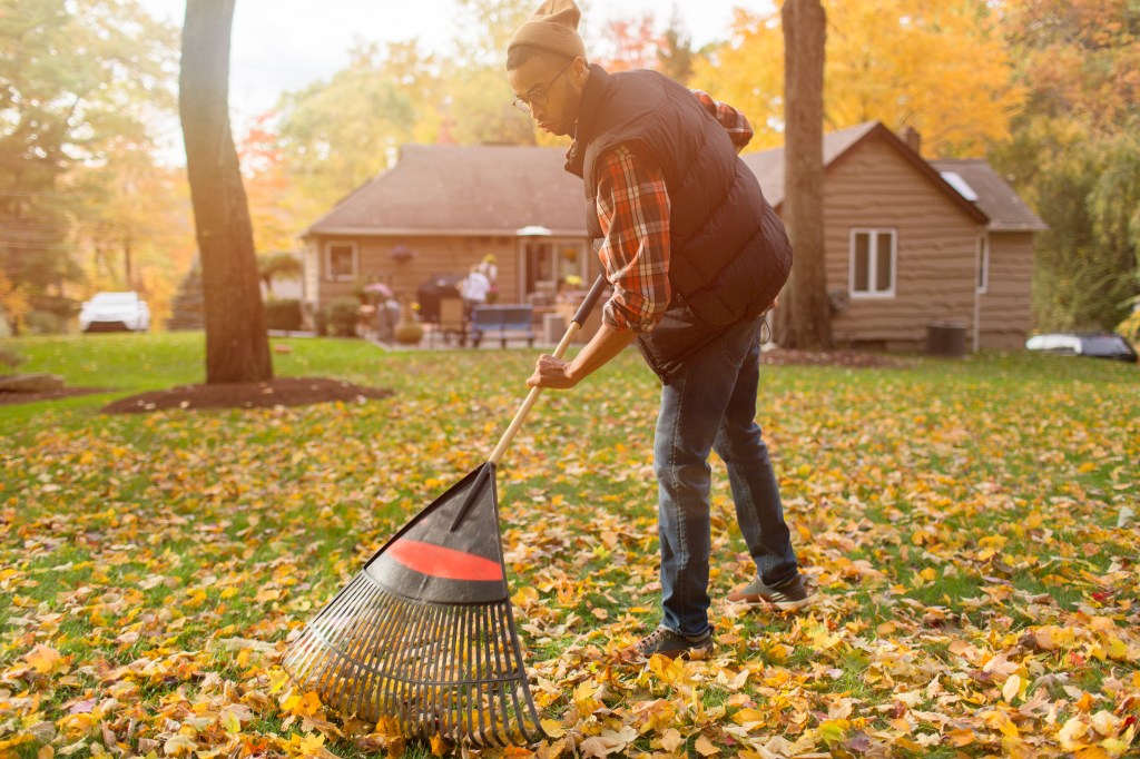 Follow This Fall Garden Cleanup Guide, Then Chill All Winter Long