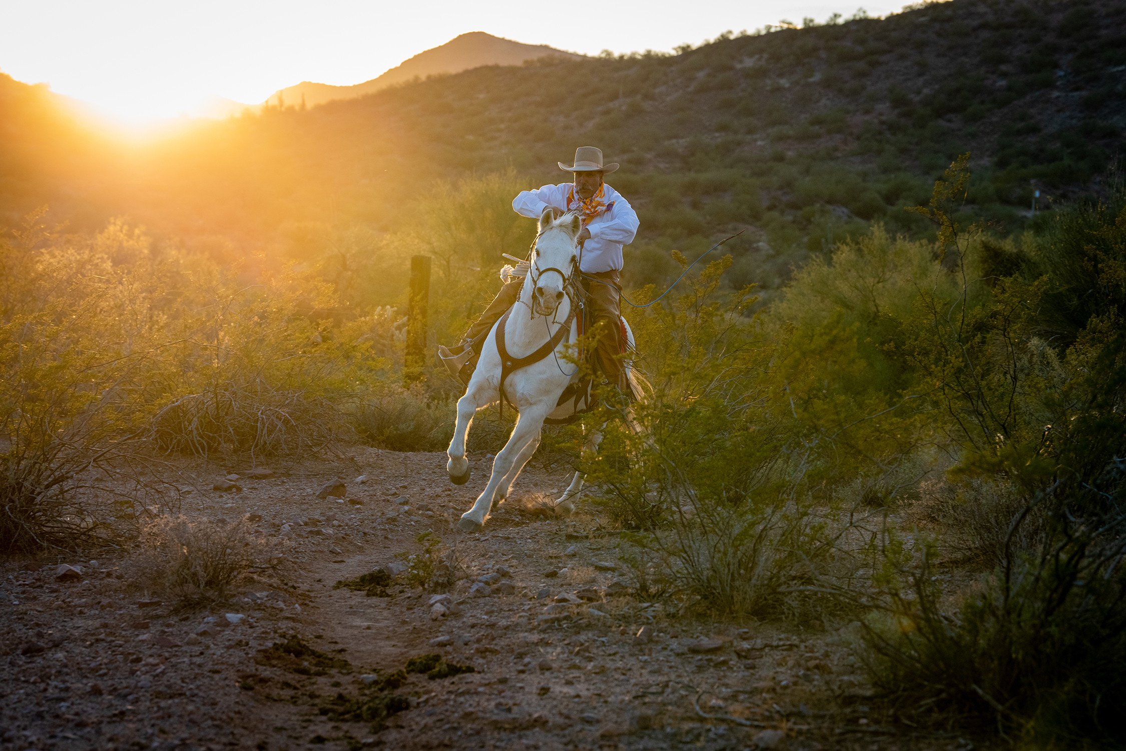 Rancho de los Caballeros Cowboy