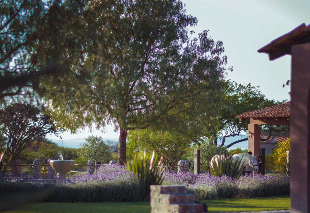 Rancho Sol Dorado Fountain Area