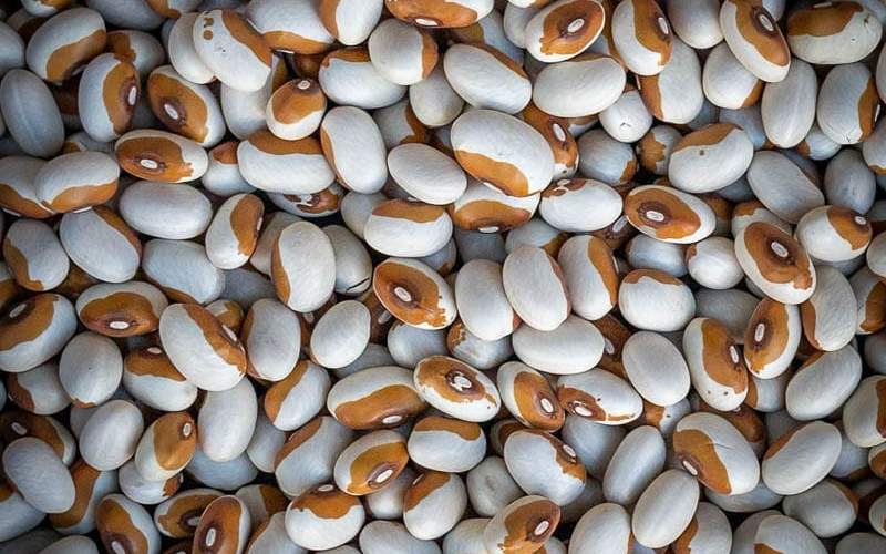 Heirloom Beans Become Coveted Pantry Staple as Coronavirus Spreads