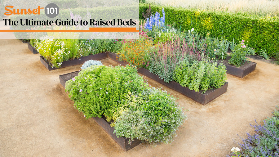 Raised Garden Beds