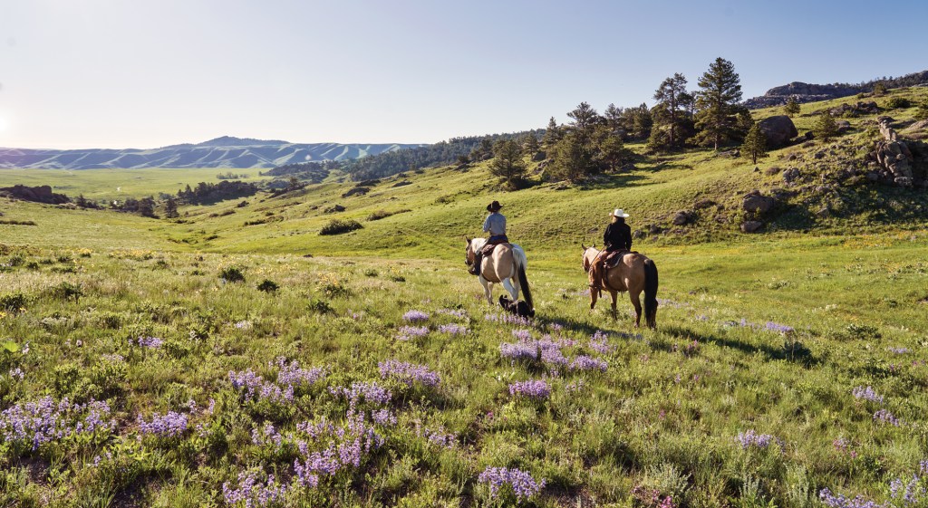 Reid Creek Lodge Horseback Riding Wildflowers
