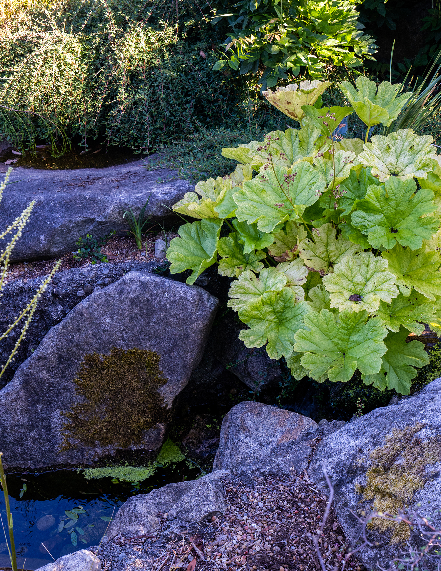 Retaining Wall Daniel Hinkley Windcliff Garden