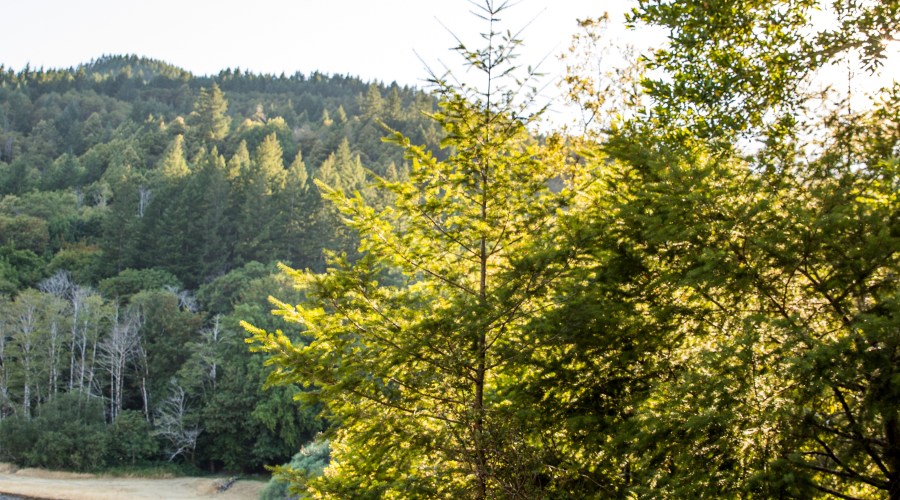 capitalize-on-a-view