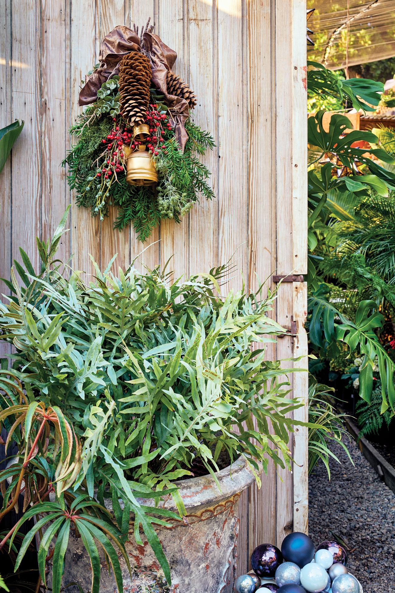 Rolling Greens Holiday Houseplants